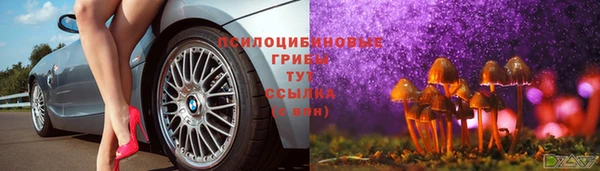 стафф Дмитровск