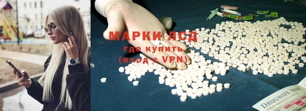 ECSTASY Дмитриев