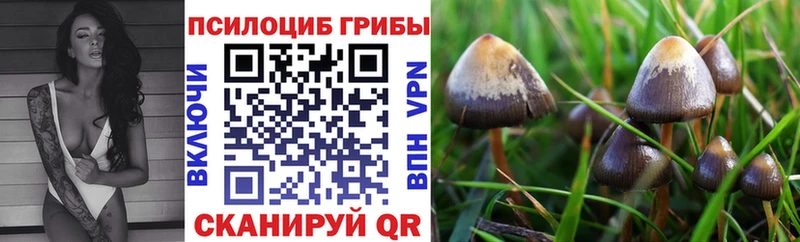 купить   Нижние Серги  Галлюциногенные грибы Magic Shrooms 